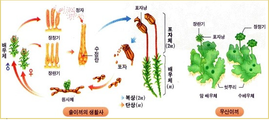 카지노 게임 추천
