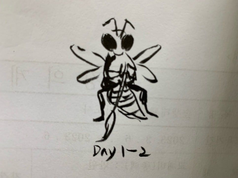 카지노 게임 사이트