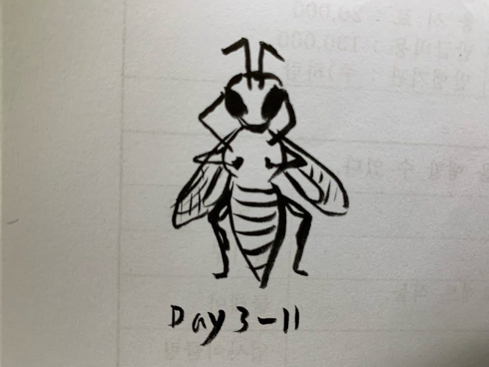 카지노 게임 사이트