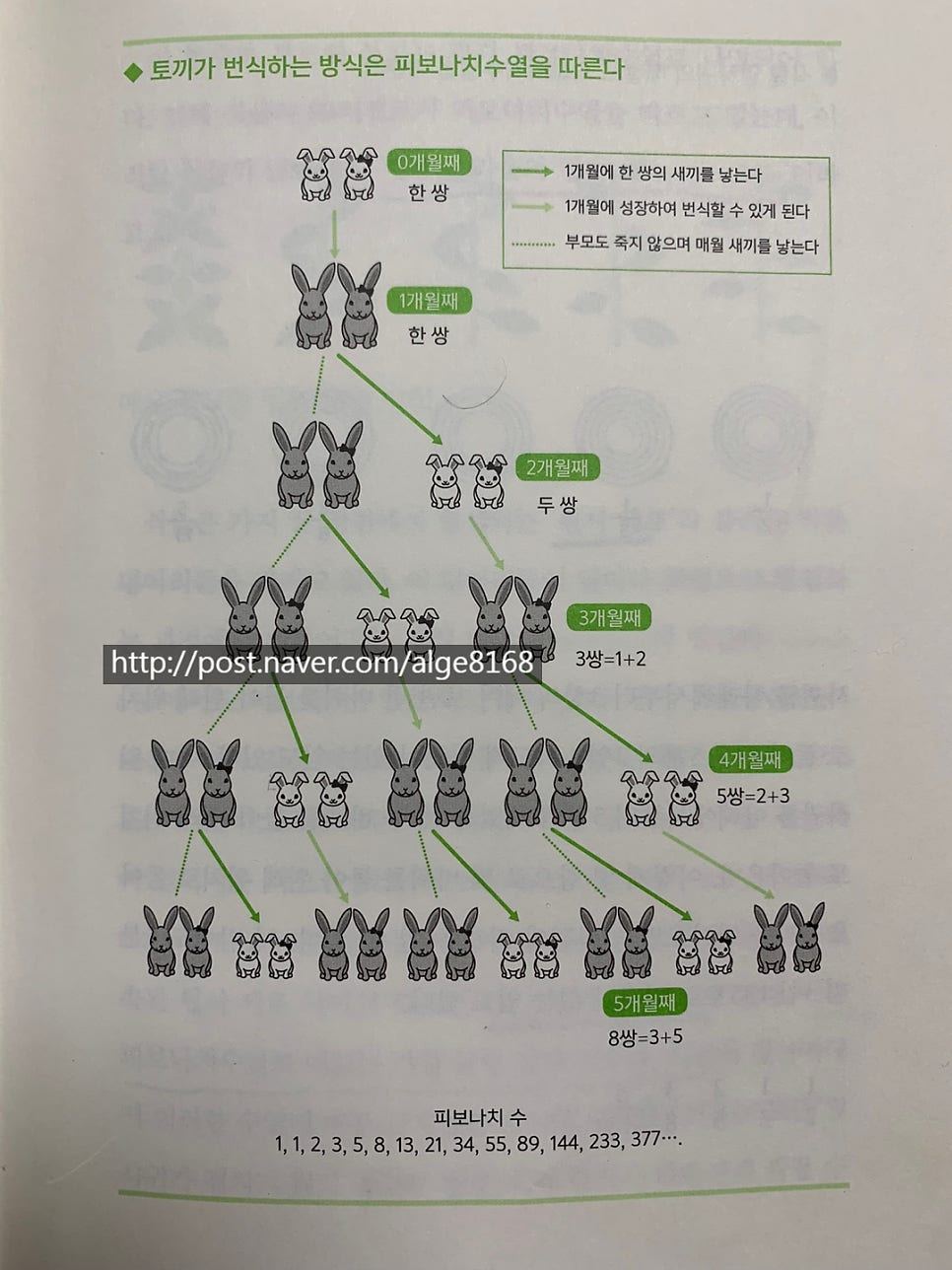 카지노 게임