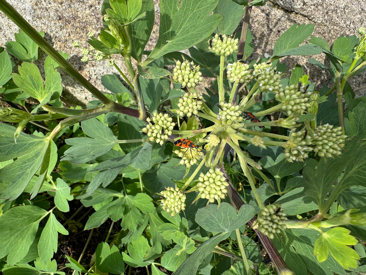 KakaoTalk_20260104_205756323 (1).jpg