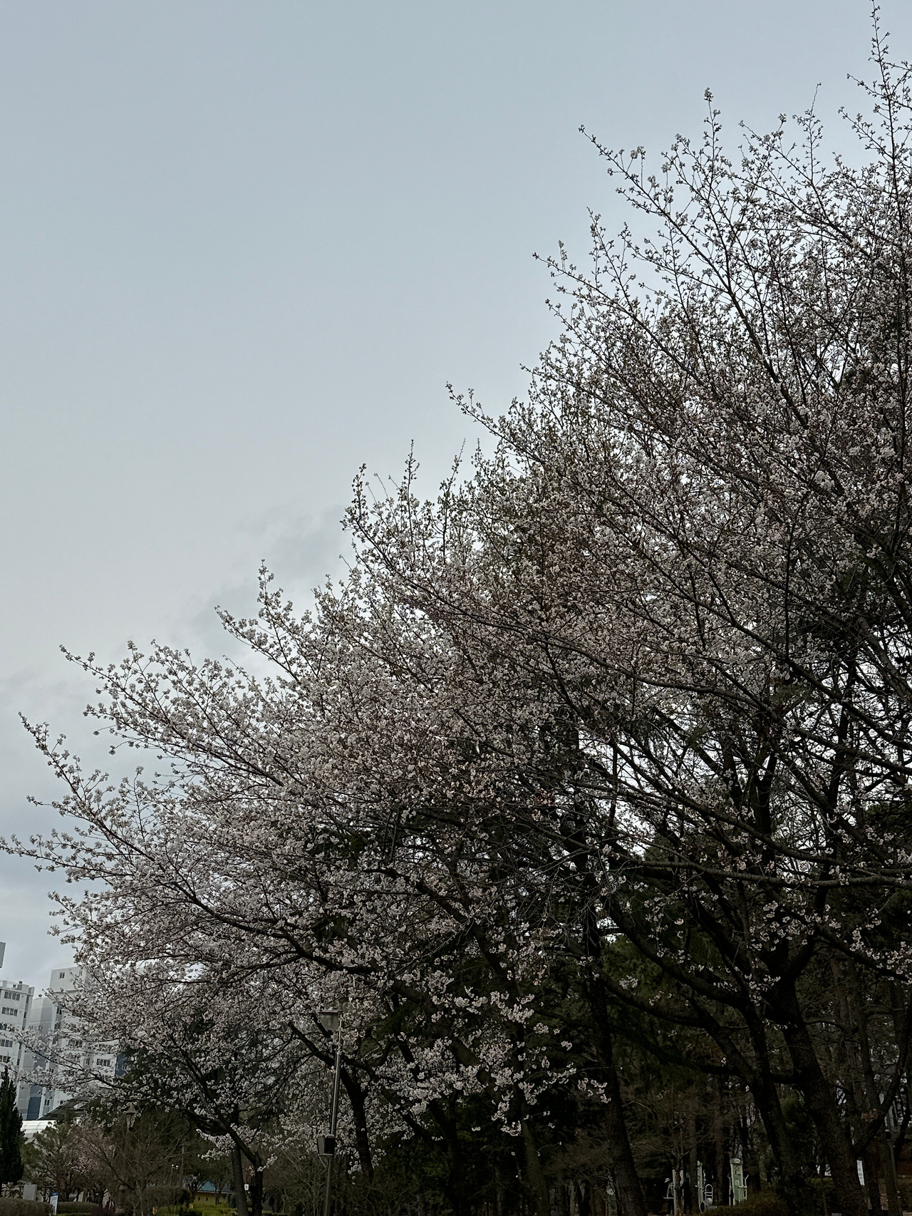 카지노 게임 사이트