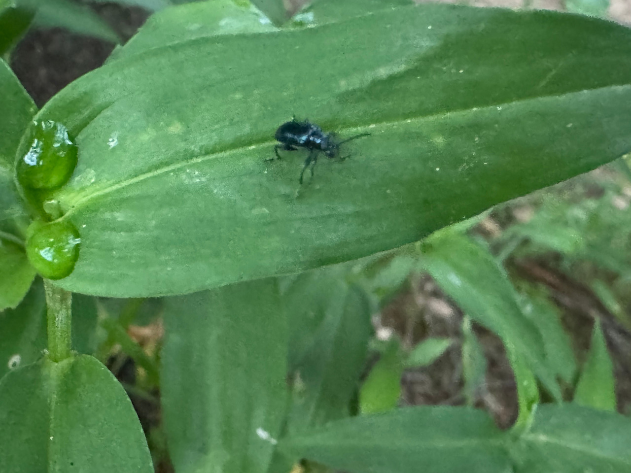 KakaoTalk_20251006_011638749_19 (1).jpg