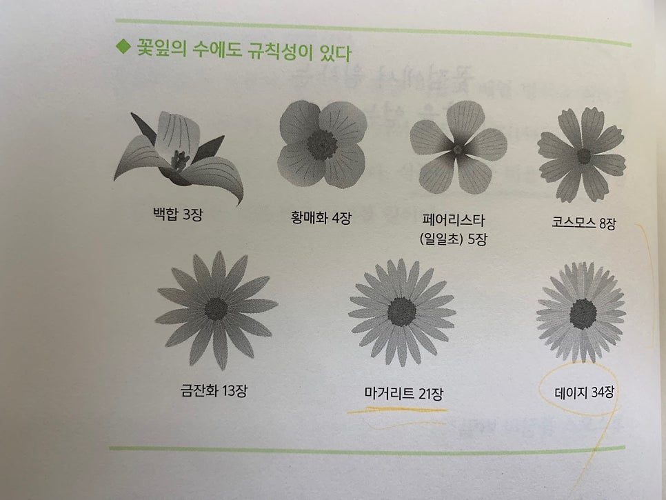 카지노 게임