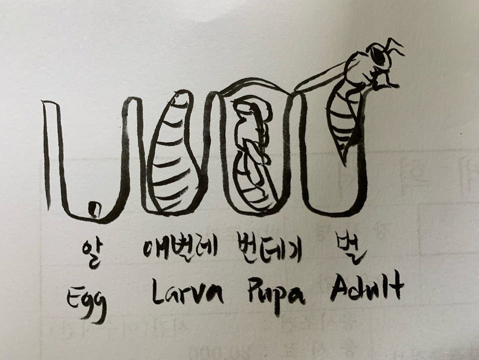 카지노 게임 사이트