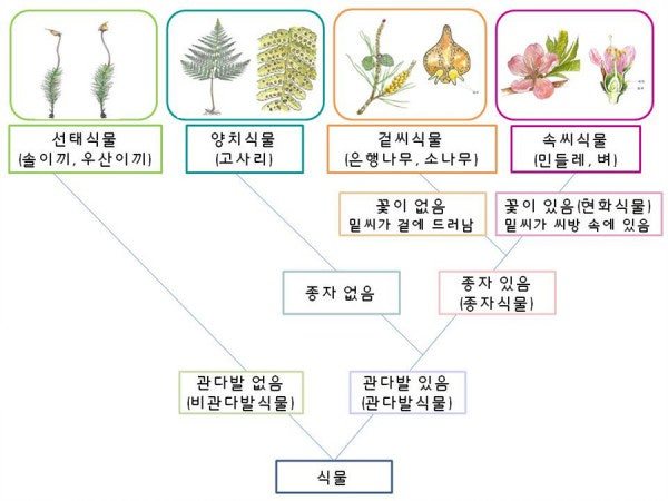카지노 게임 추천