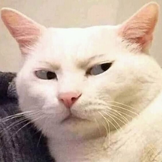 컬처덱 조직 5245.jpg