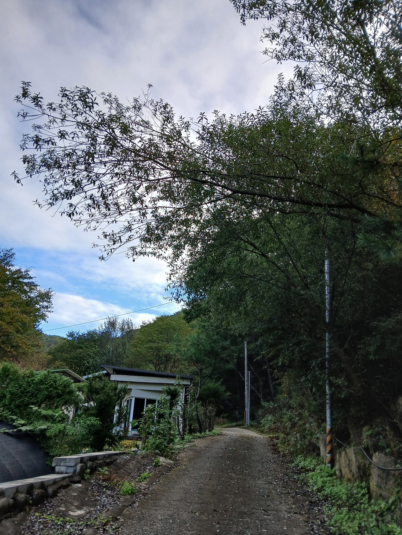 KakaoTalk_20251017_084835743 (1).jpg