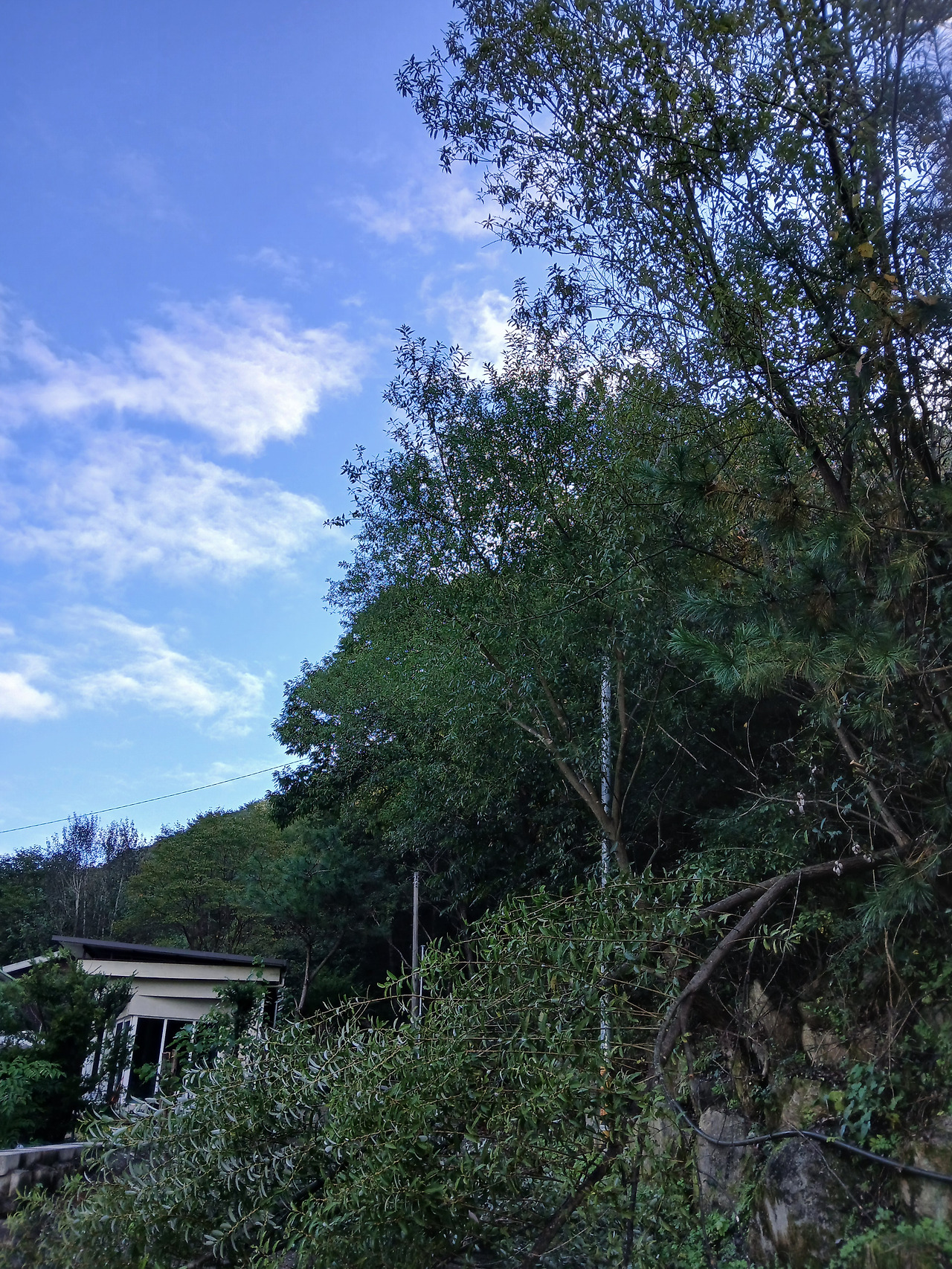 KakaoTalk_20251017_084905509 (1).jpg