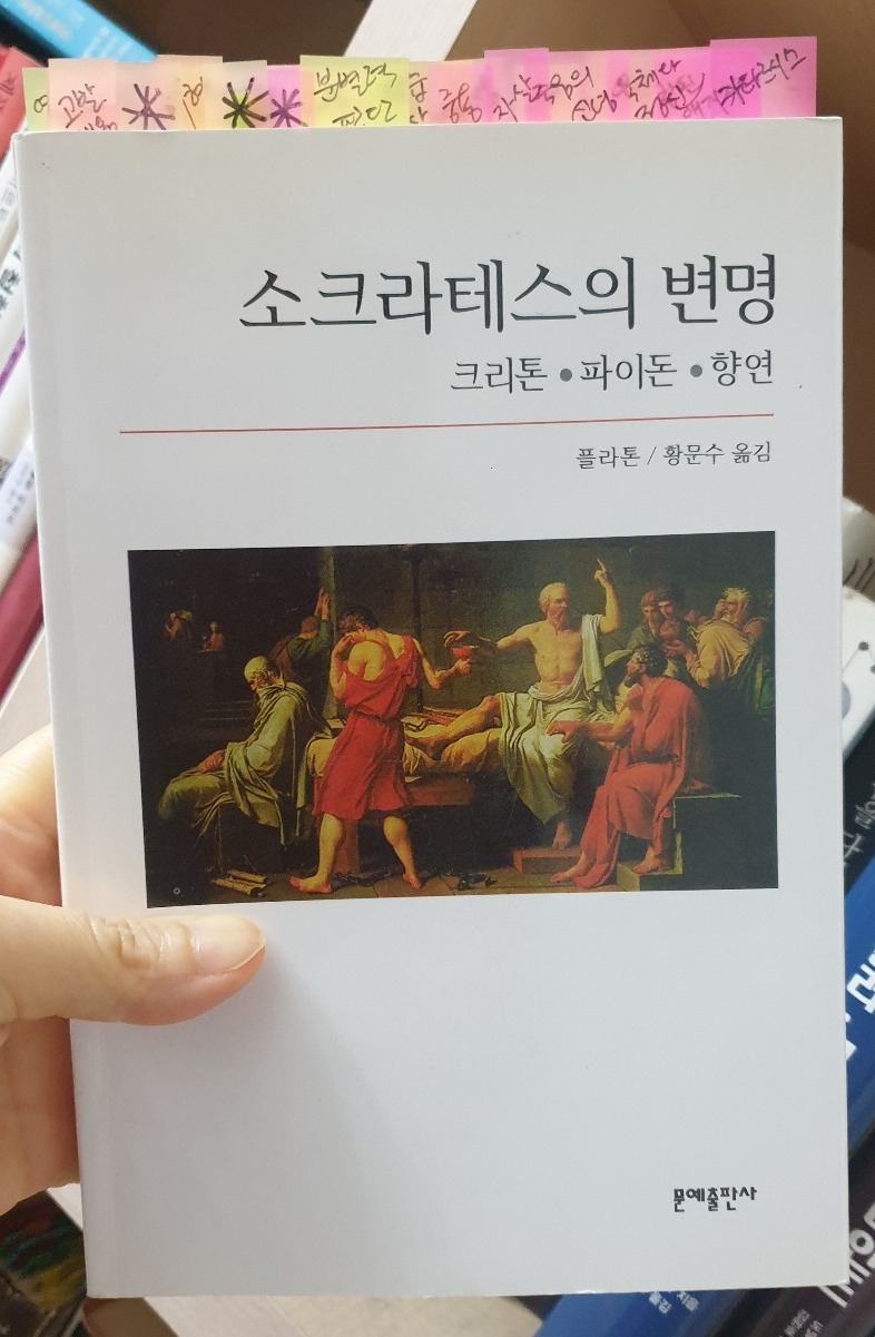 사이다토토