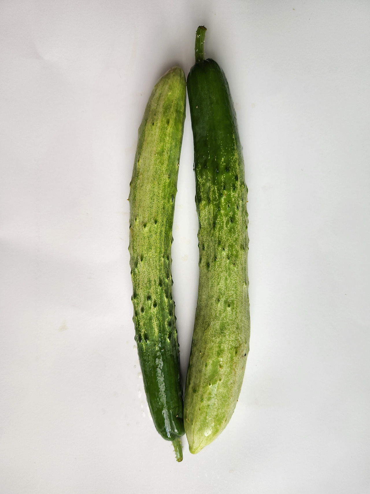 cucumber_03.jpg