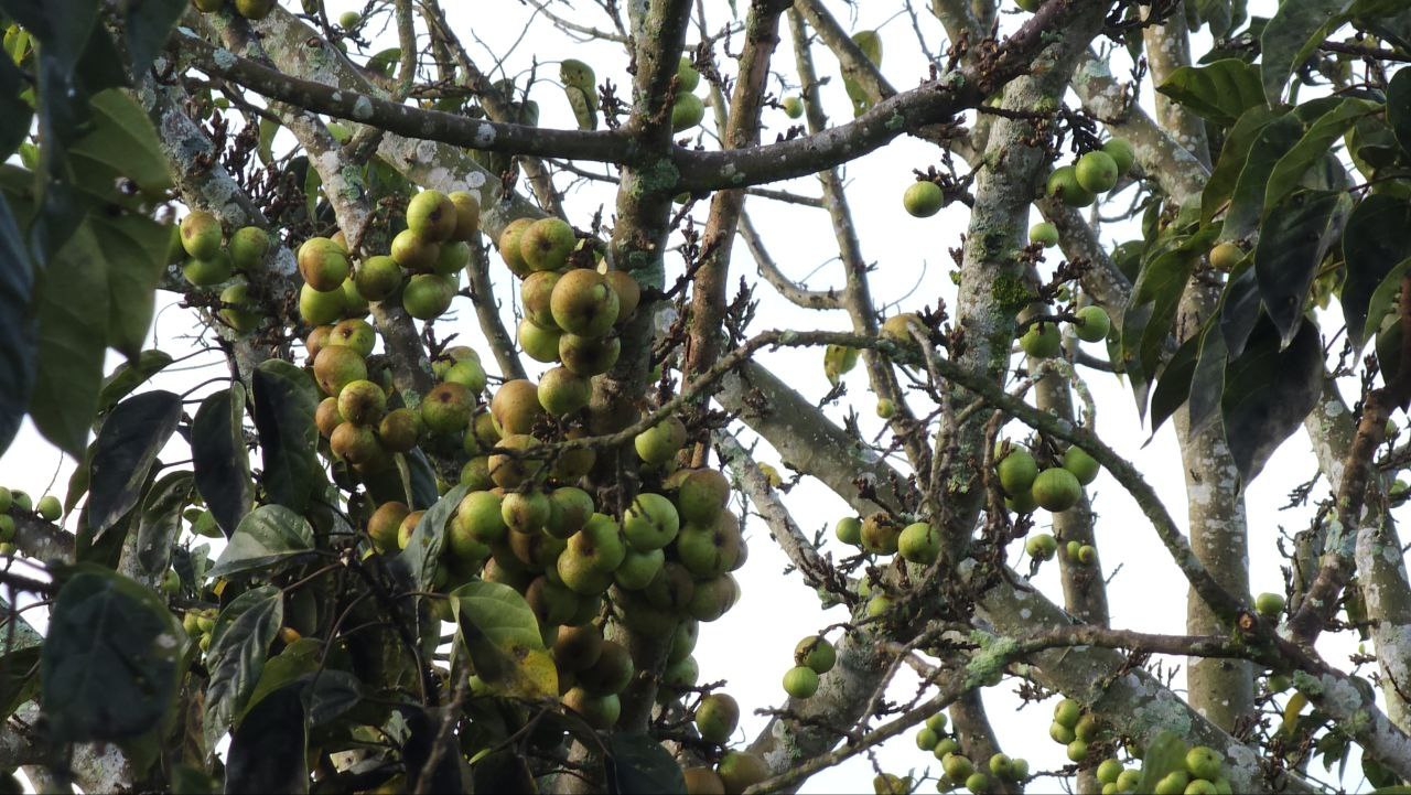 2023-10-03 08.06.06.jpg