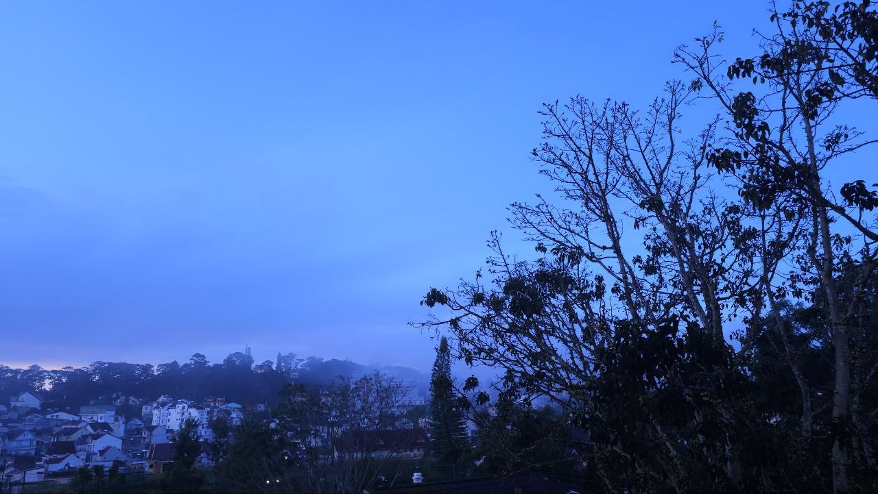 2023-10-03 08.06.31.jpg