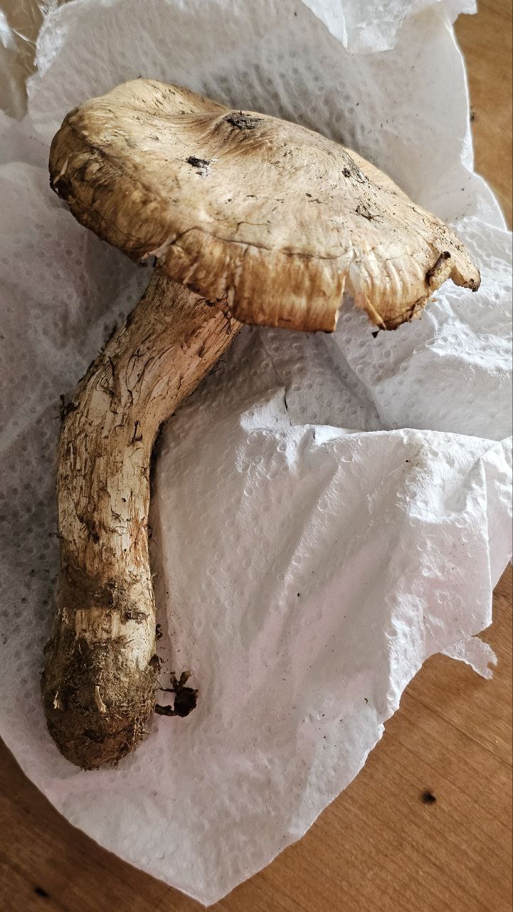 2023-10-09 10.15.35.jpg