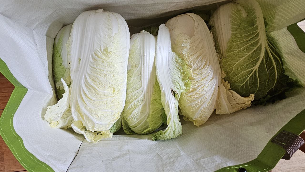 2023-10-09 10.17.08.jpg