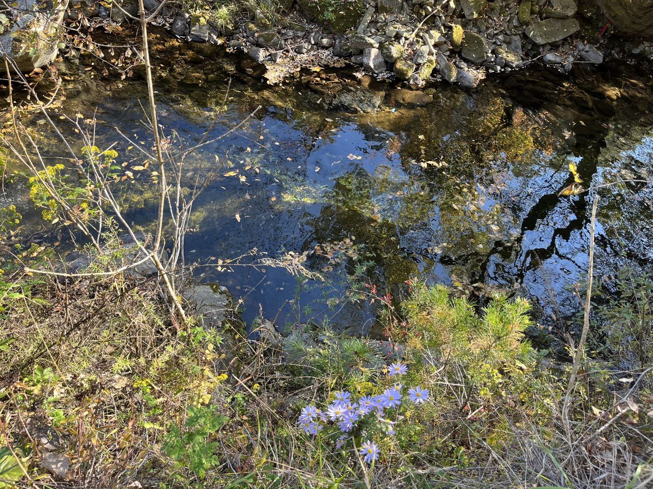 2023-10-09 10.17.47.jpg