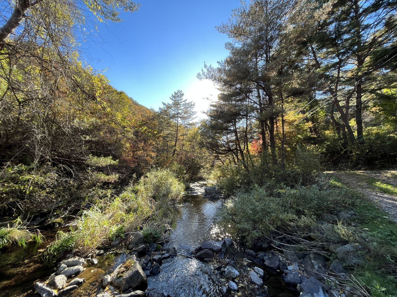 2023-10-09 10.17.41.jpg