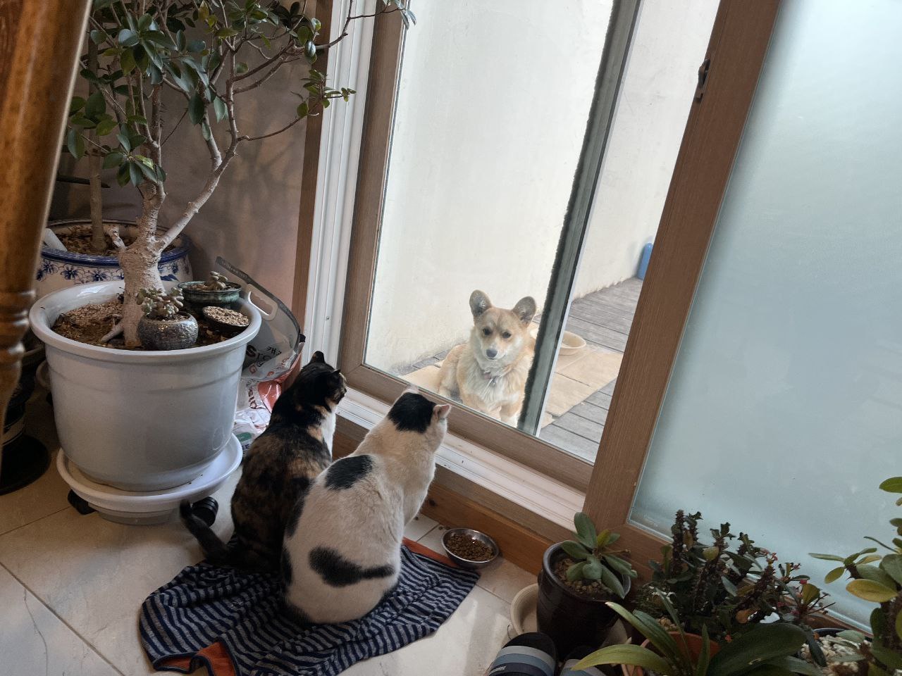 2023-06-25 18.46.51.jpg