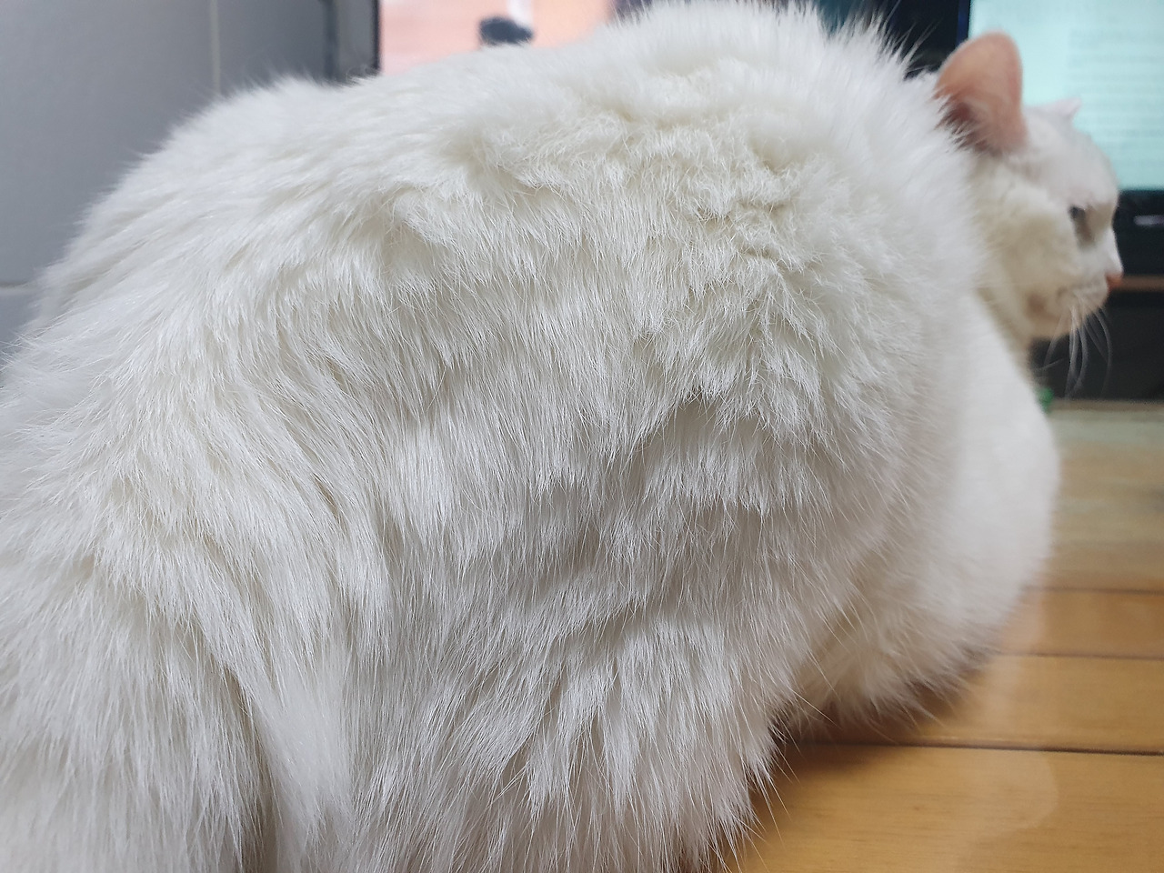 13. 엇갈리는1.jpg