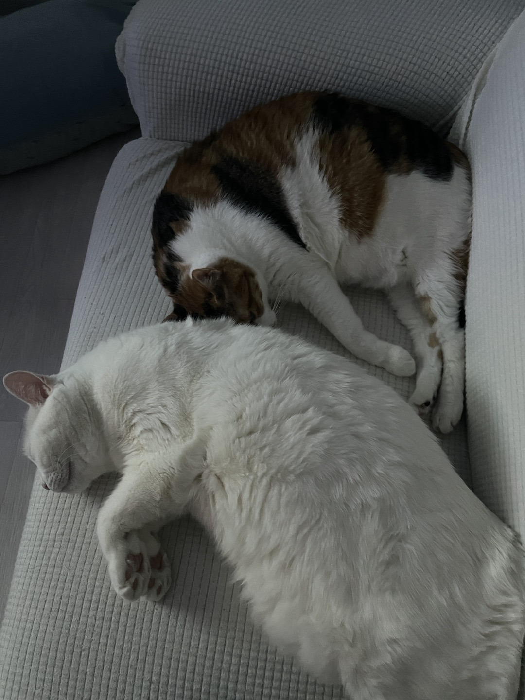 5. 와이프 친정.jpg