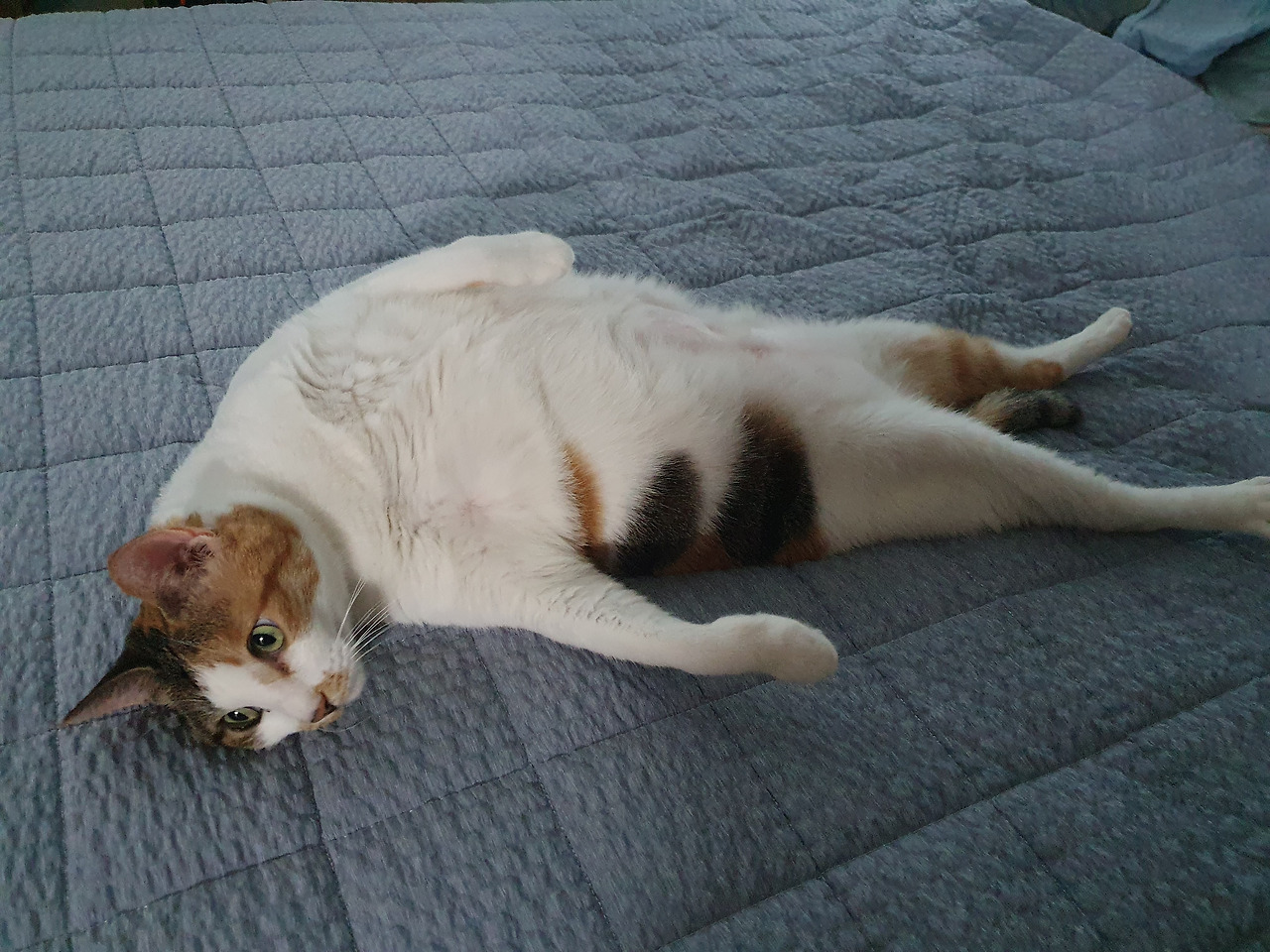 13. 엇갈리는2.jpg