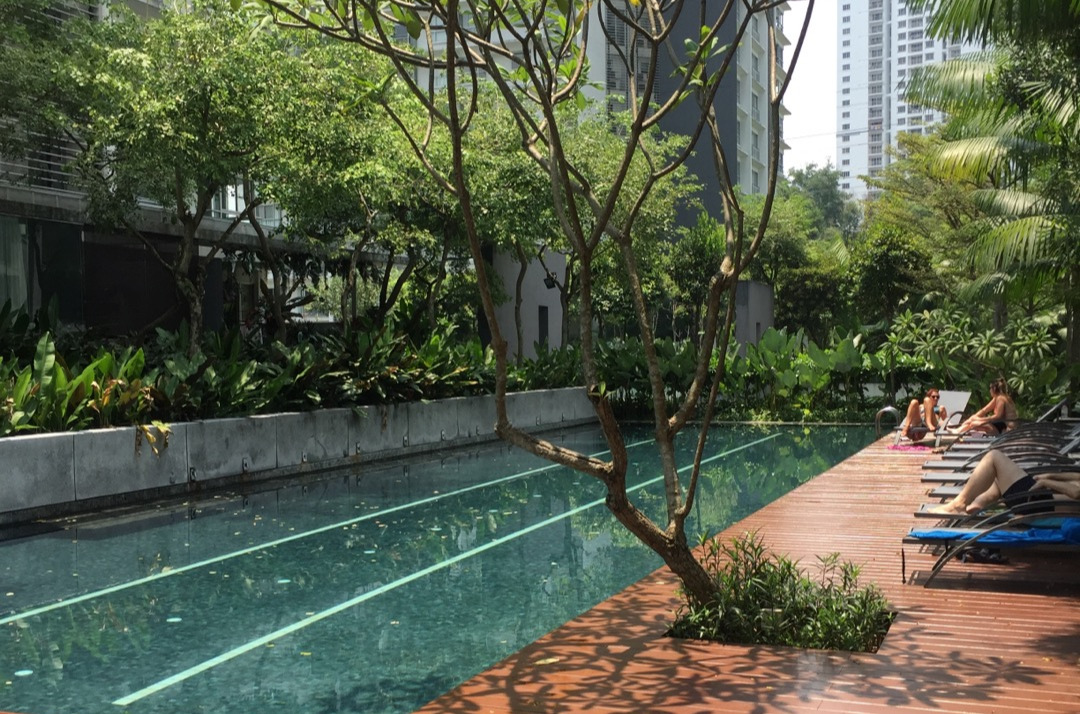 수영장 사진.jpg