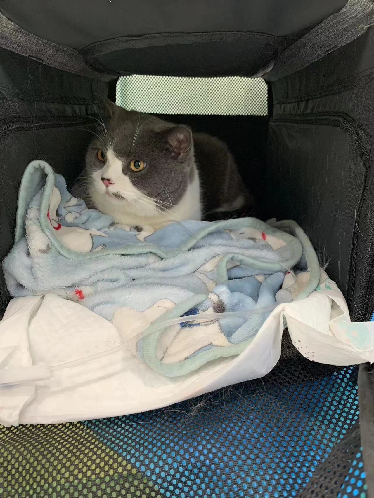 WeChat Image_20221229022812.jpg