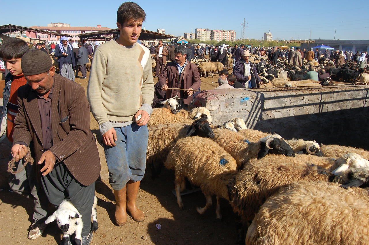 디야르바크르 (144).jpg