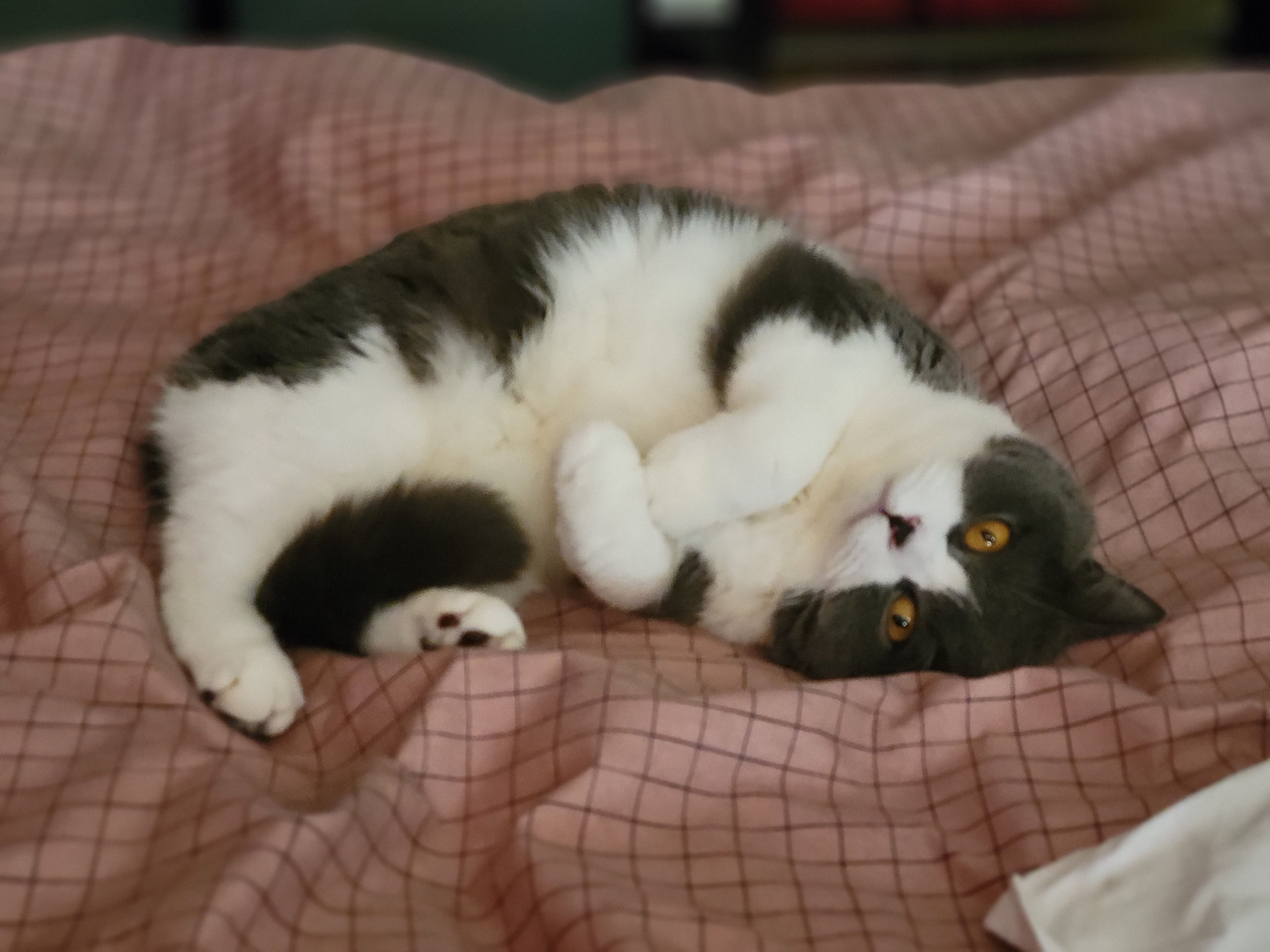 WeChat Image_20221229022441.jpg