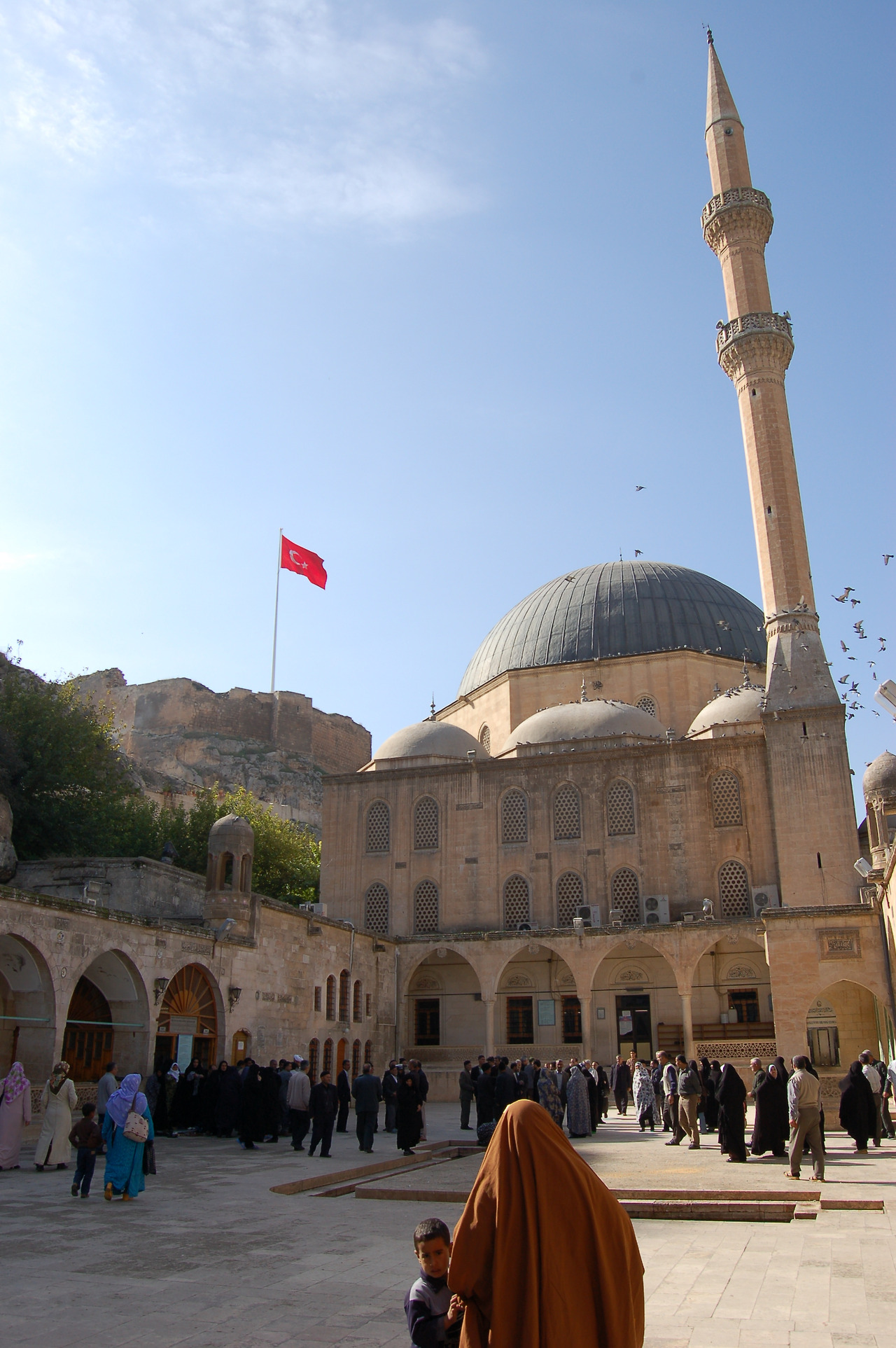 샨느 우루파1 (30).jpg