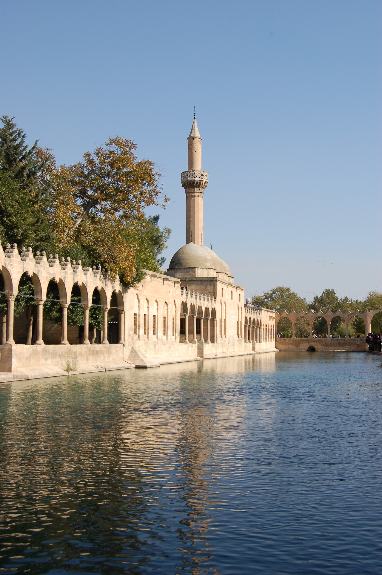 샨느 우루파1 (66).jpg