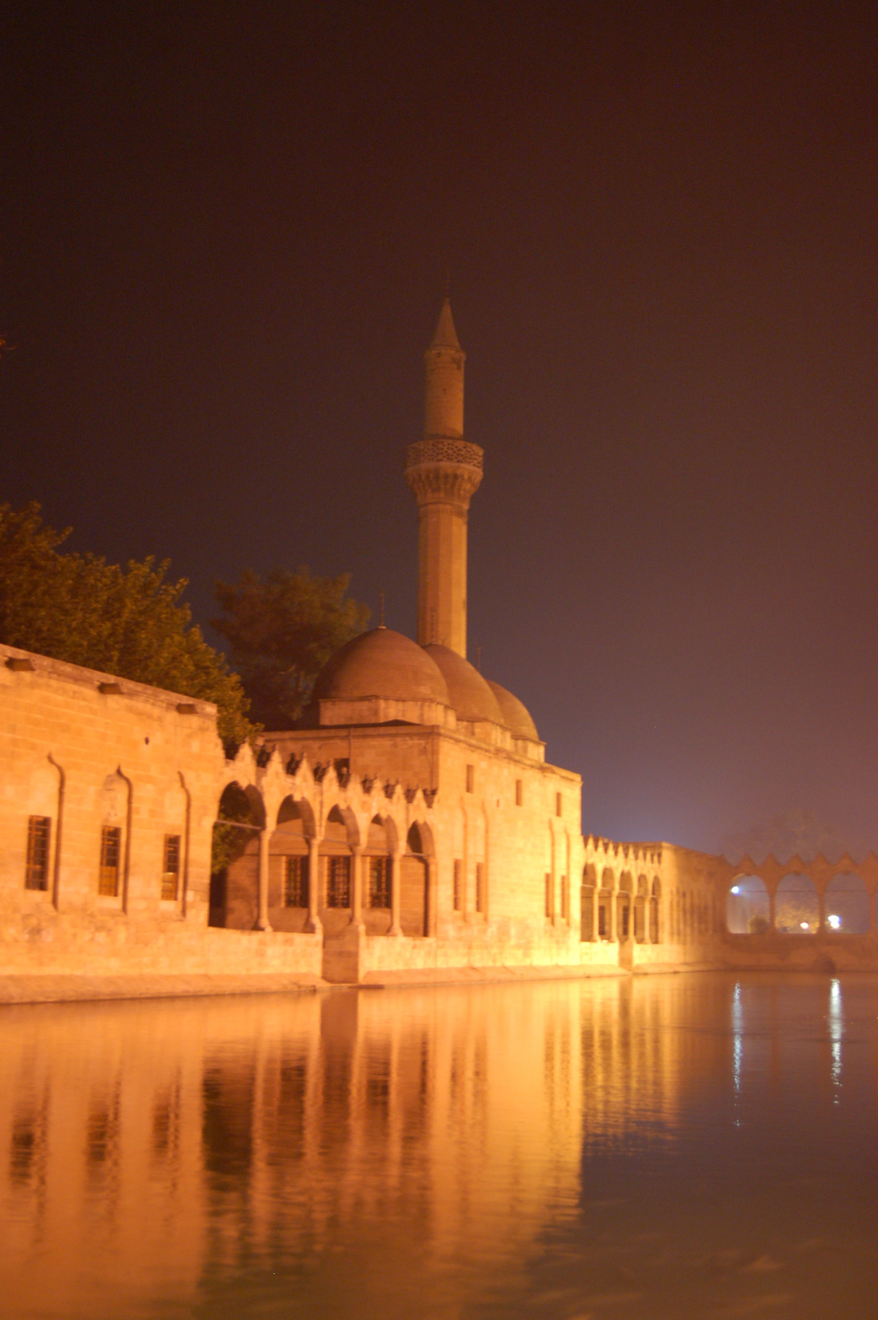 샨느 우루파 (17).jpg