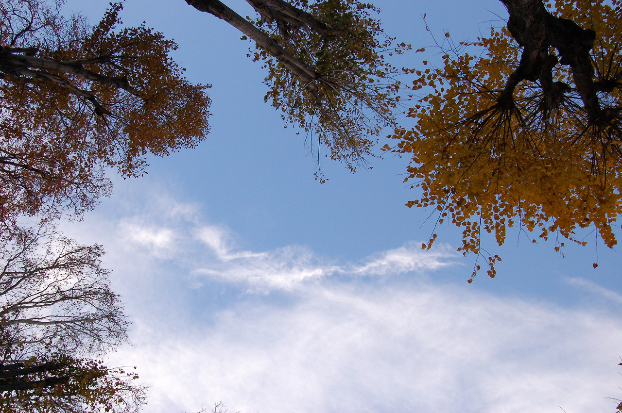 돌마바마흐체 (65).jpg