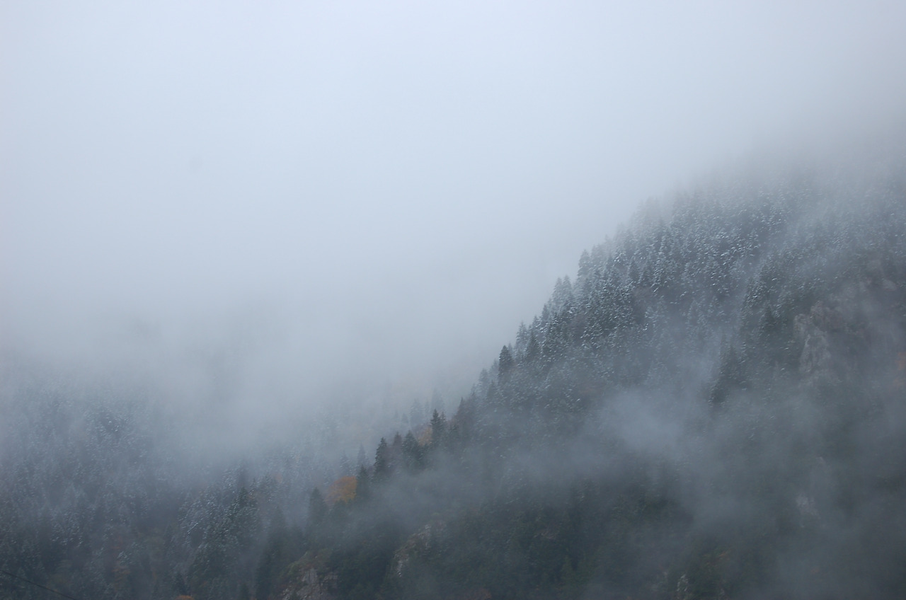 트라브존 (28).jpg