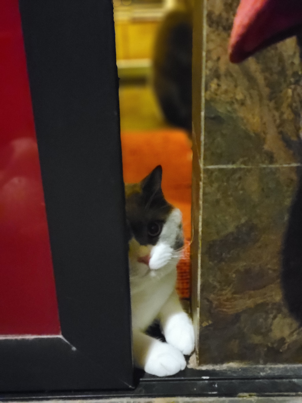 WeChat Image_20221122011707.jpg