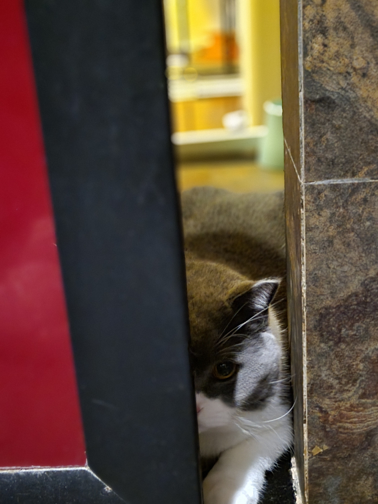 WeChat Image_20221122011647.jpg