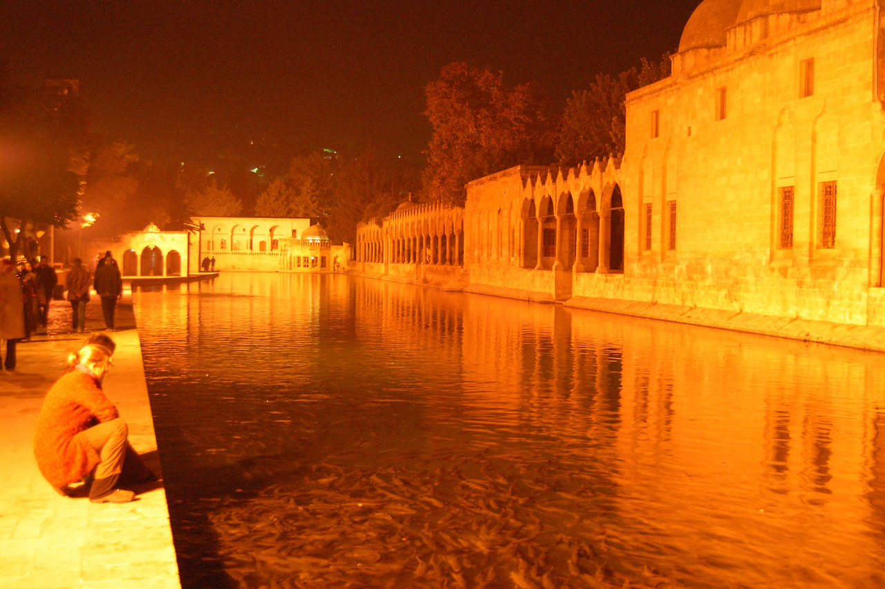 샨느 우루파 (4).jpg