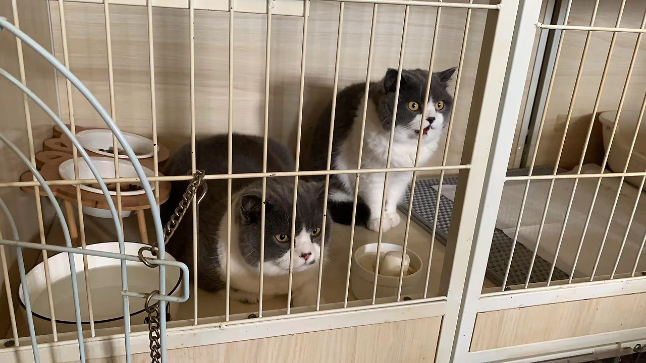 WeChat Image_20230115174724.jpg