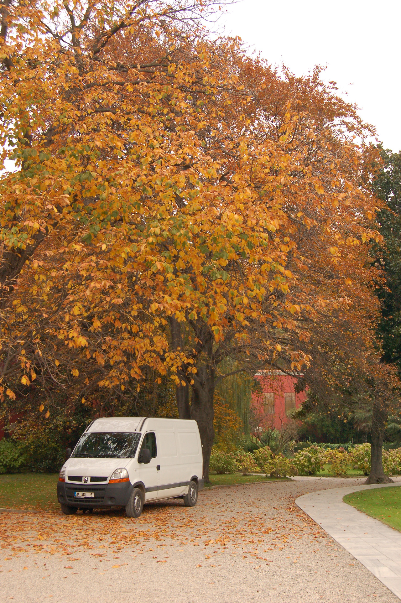 돌마바마흐체 (9).jpg