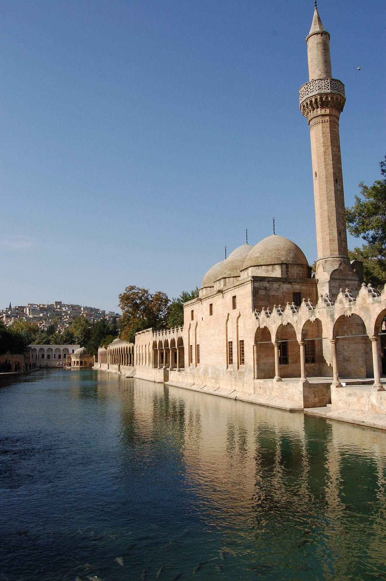 샨느 우루파1 (61).jpg