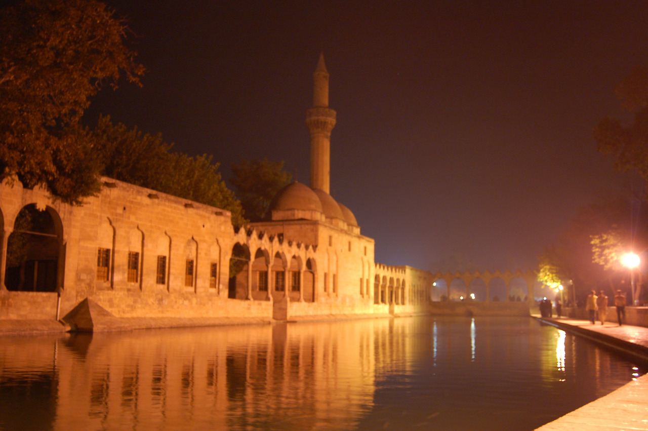 샨느 우루파 (12).jpg