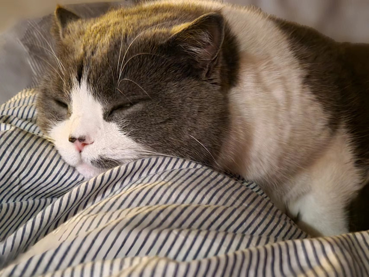 WeChat Image_20230115174624.jpg