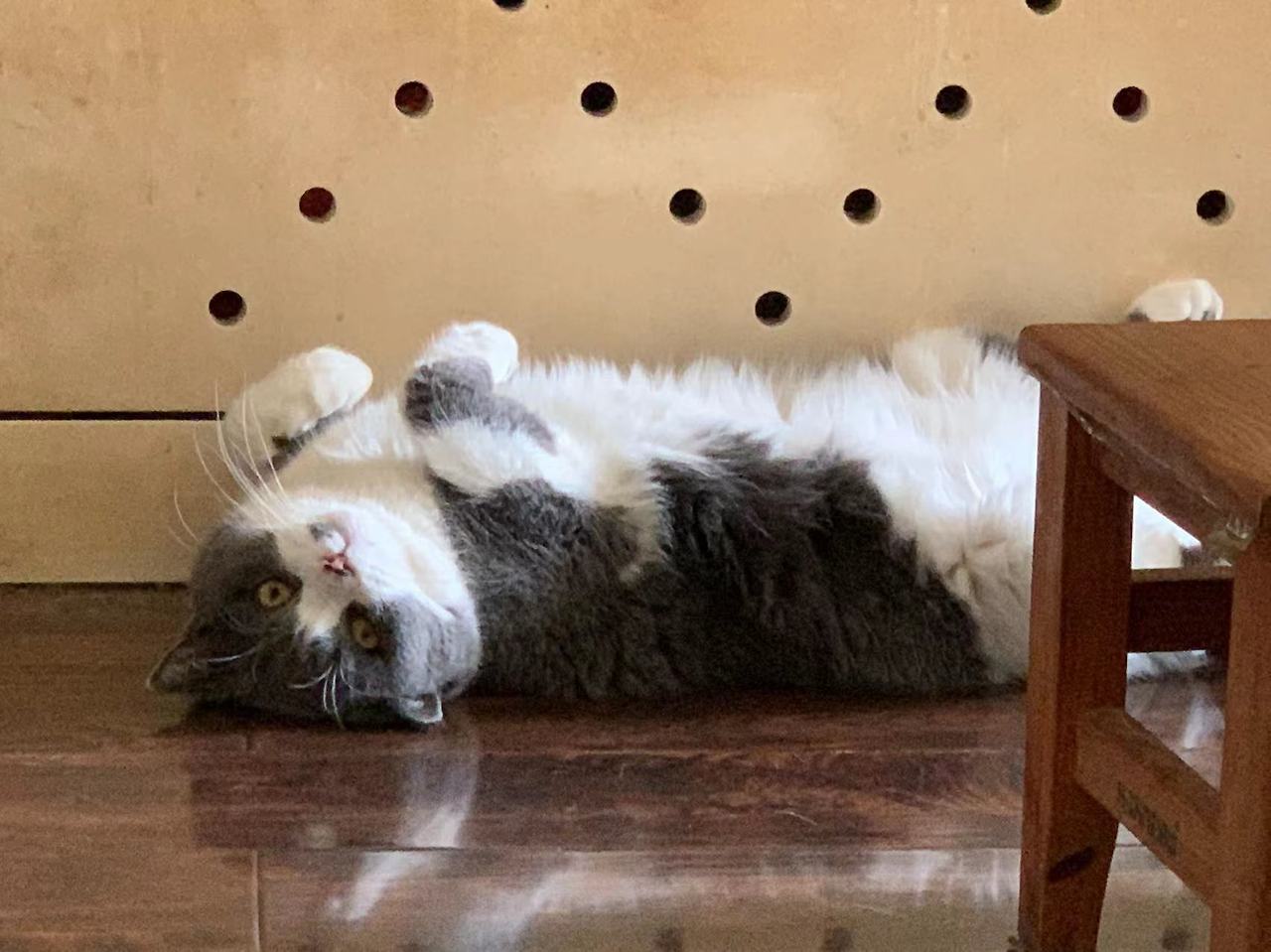 WeChat Image_20230115174709.jpg