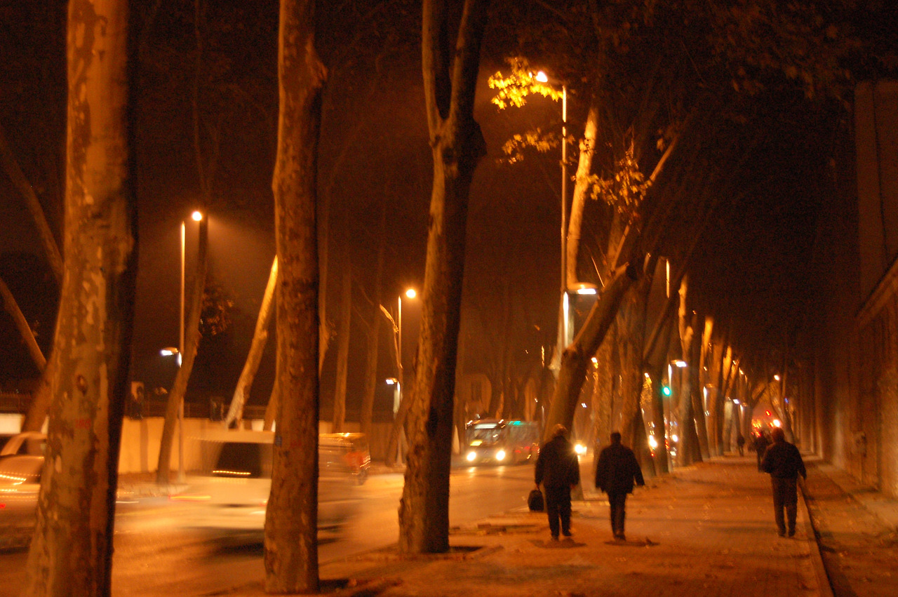 돌마바마흐체 (73).jpg