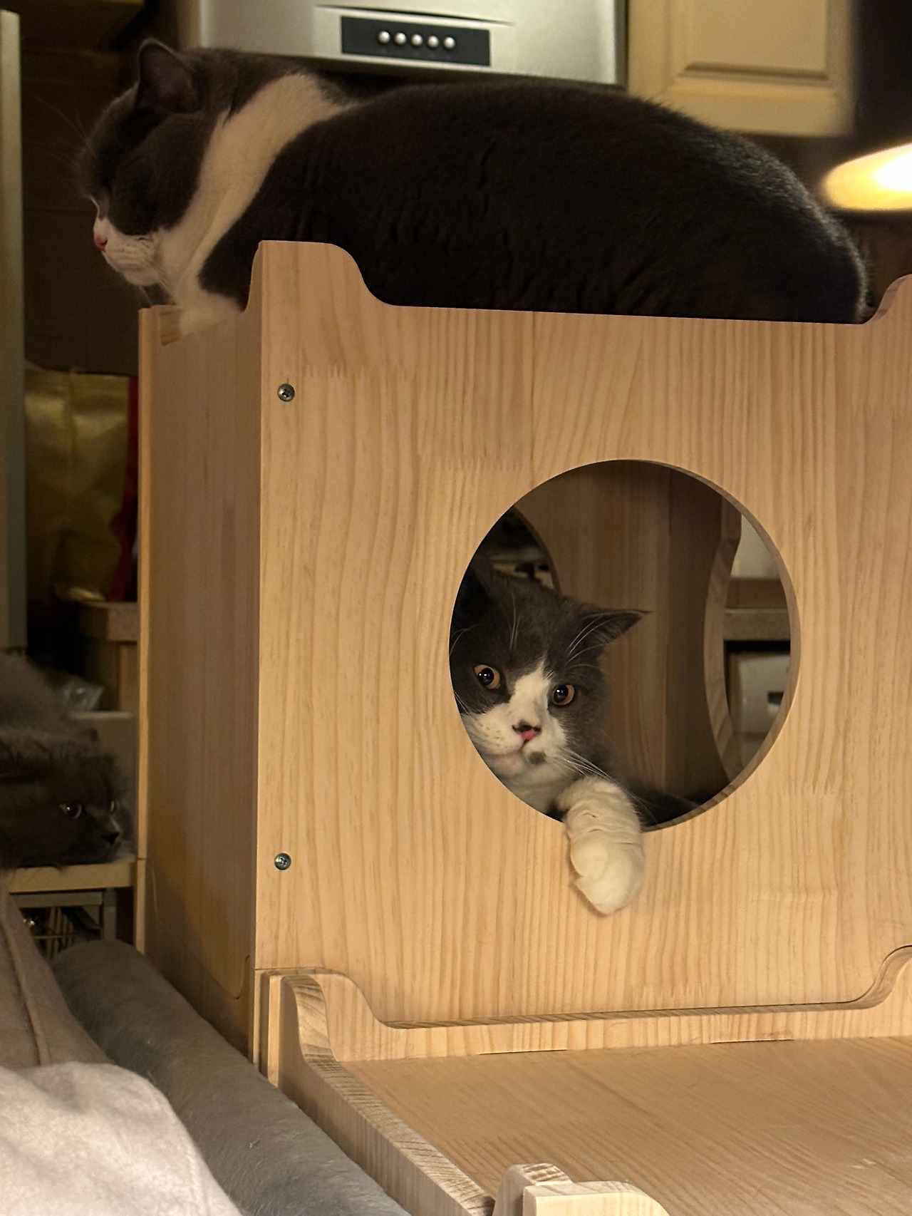 WeChat Image_20230115174615.jpg