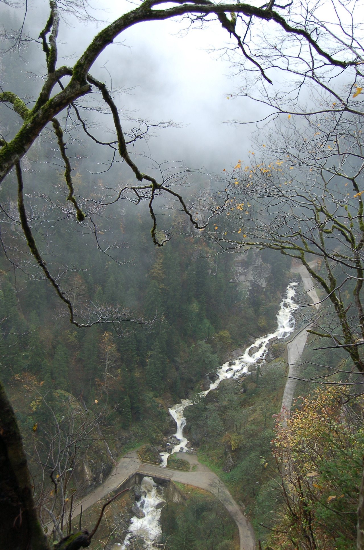 트라브존 (20).jpg