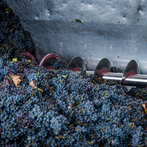 winemaking-img-grapes.jpg