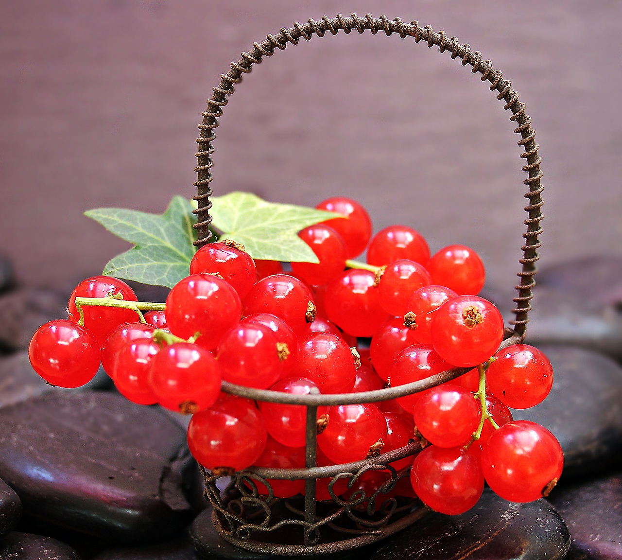 currants-g9dd13a099_1920.jpg