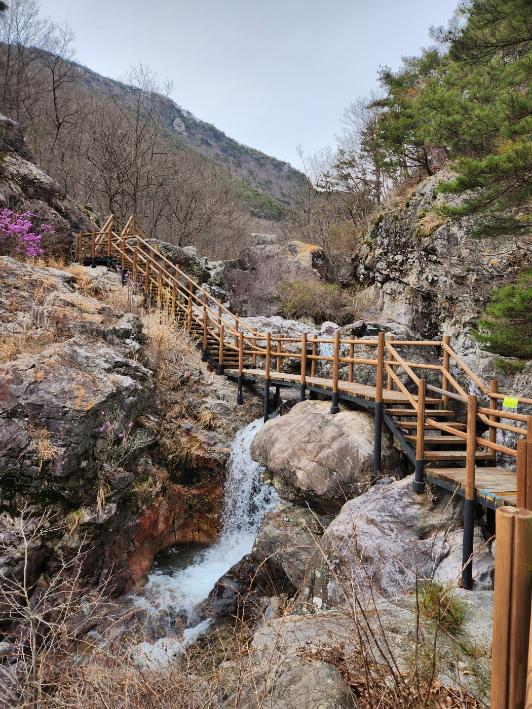 KakaoTalk_20240401_075131161_12 - 복사본 - 복사본 - 복사본 - 복사본.jpg