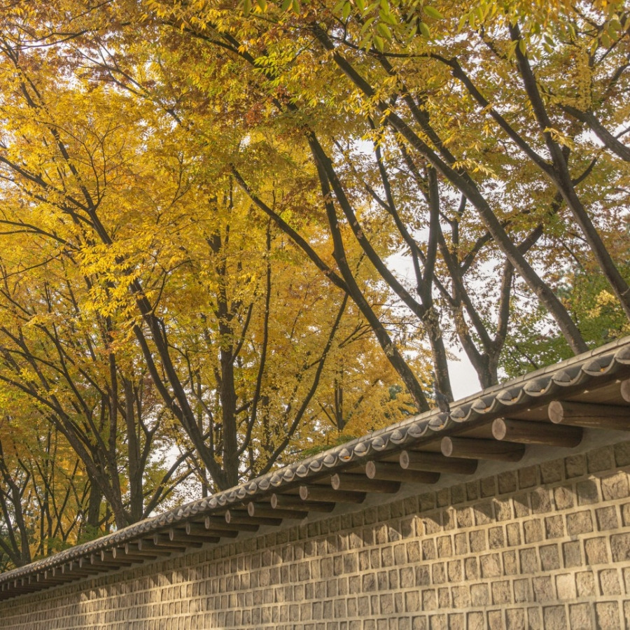 서촌 가을단풍길_4.jpg